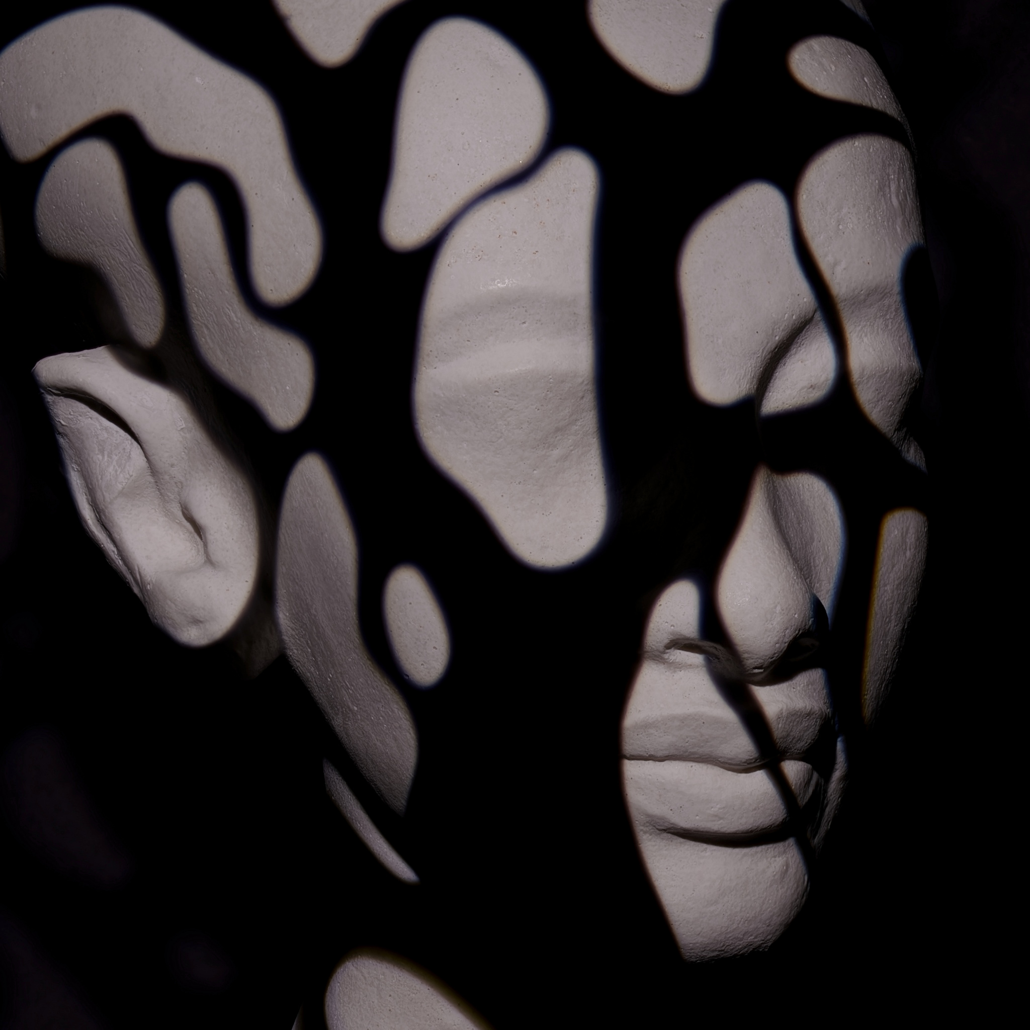 Kopf einer Prinzessin